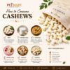 cashew w 320 premium