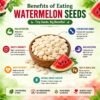watermelon seeds