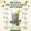 chia seeds