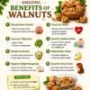 walnut